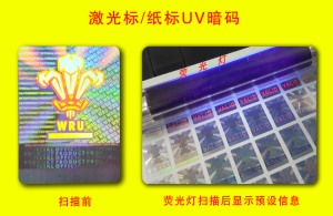 荧光午夜成人视频在线观看标签