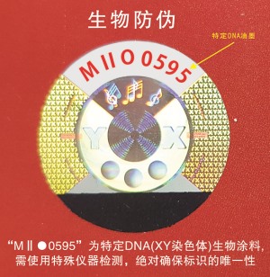 DNA午夜成人视频在线观看