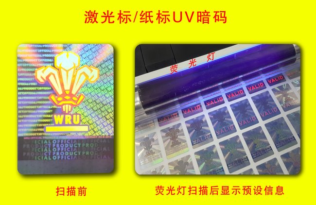 荧光午夜成人视频在线观看标签